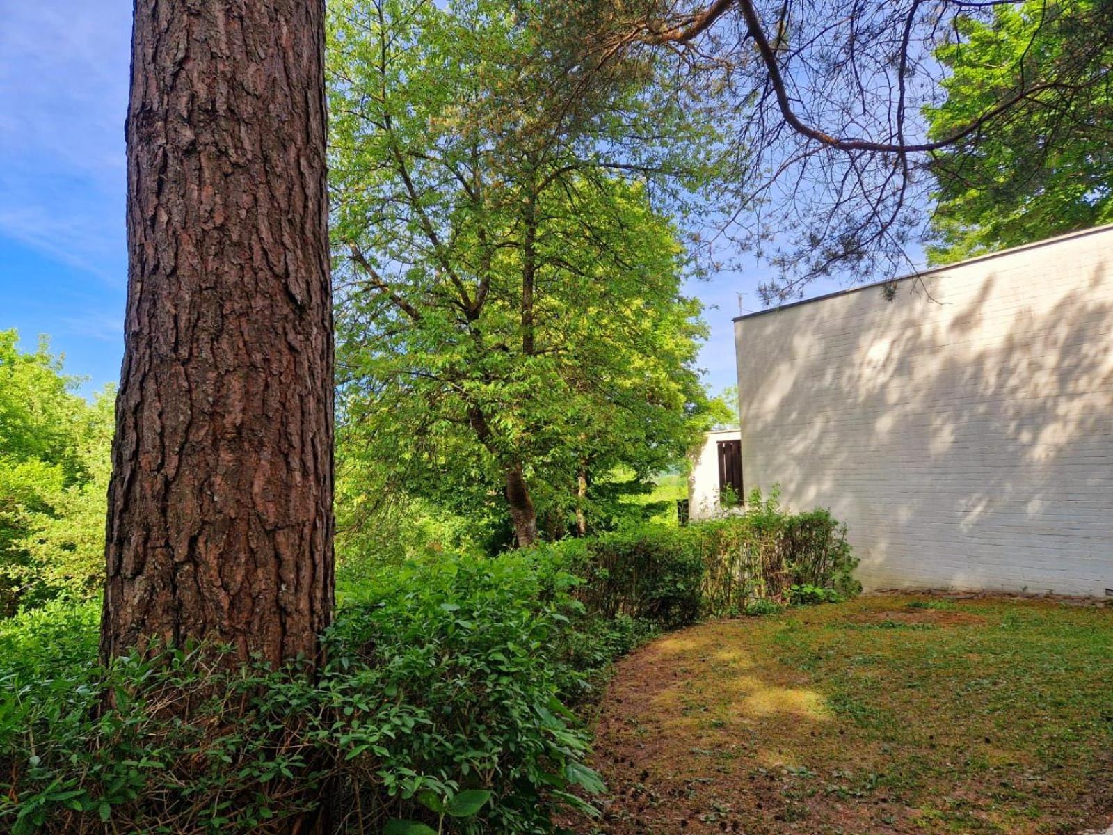 Berg-Bungalows Leinleitertal Heiligenstadt in Oberfranken Ngoại thất bức ảnh